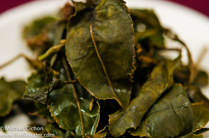 What to do with used tea leaves Live Like Water Teas