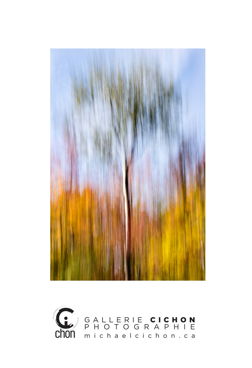Live like water retreat fine art prints and cards