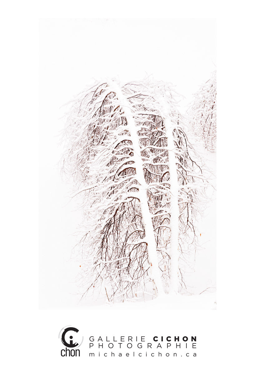 Live like water retreat fine art prints and cards
