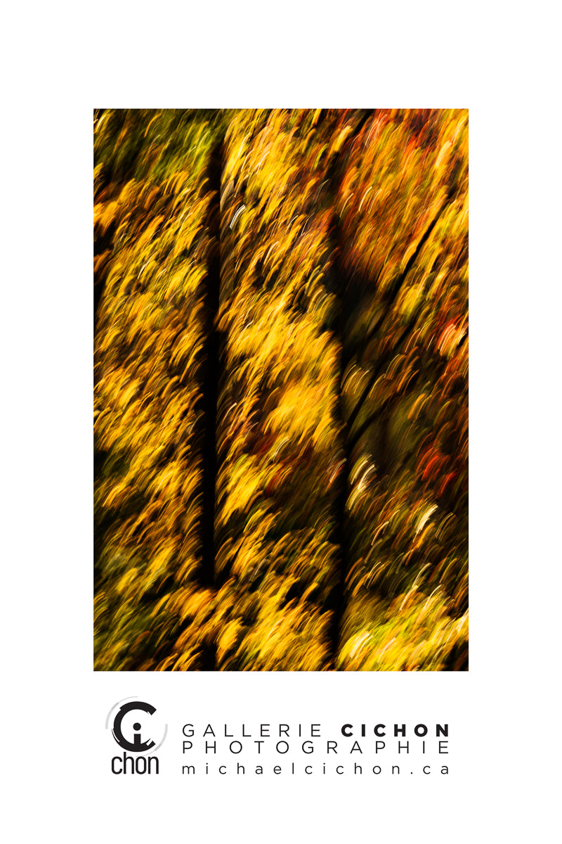 Live like water retreat fine art prints and cards