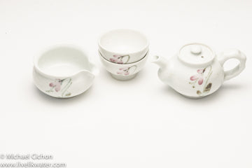 2 Cup Korean Tea Set-white with flower design